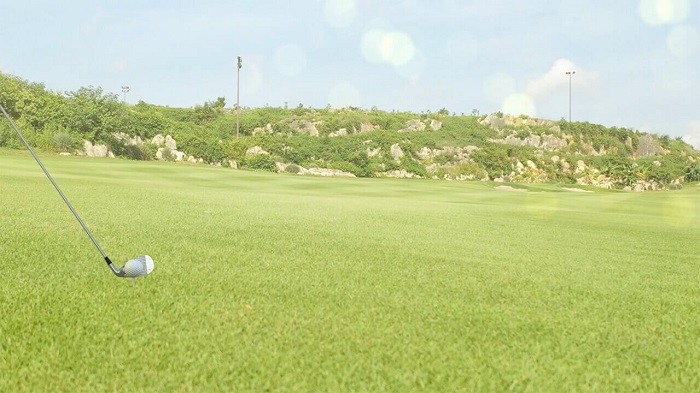 Royal Golf Course: Bề mặt hoàn hảo