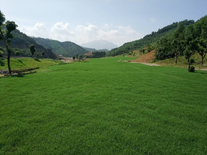 Sân golf Hilltop Valley -  Cỏ đạt chất lượng tiêu chuẩn, được chăm sóc kĩ lưỡng