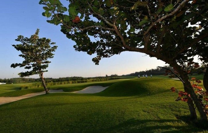 Giá Sân golf FLC Sầm Sơn - Thiên nhiên hài hòa