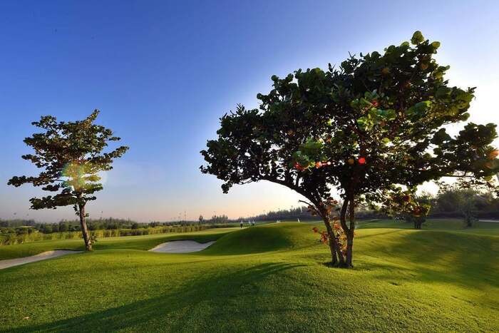 Giá Sân golf FLC Sầm Sơn - Sân golf FLC Sầm Sơn khung cảnh yên bình