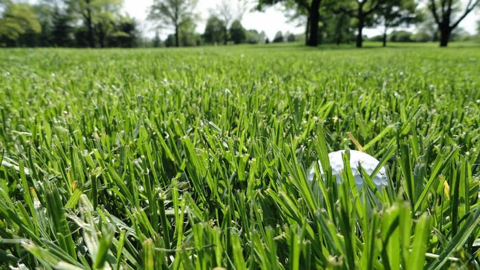 Sân golf Heron Lake - Sử dụng loại cỏ cao cấp giúp mang đến những trải nghiệm hoàn hảo nhất 