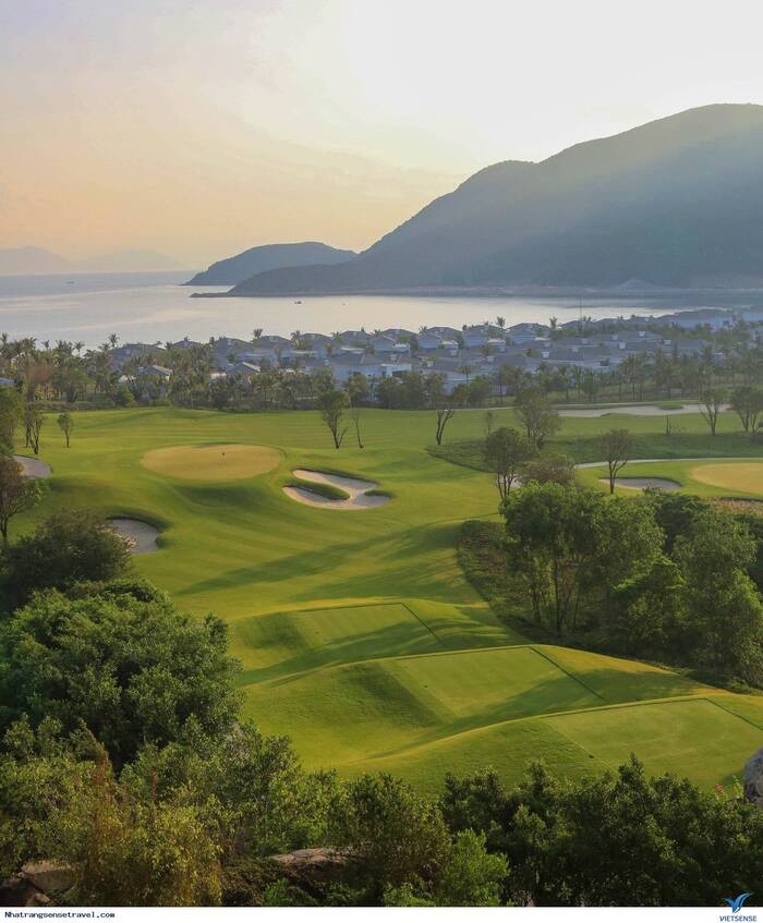 sân golf Nha Trang - Toàn bộ mặt sân Vinpearl Nha Trang đều được phủ cỏ Seashore Paspalum cao cấp. 