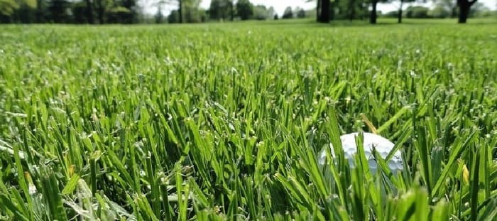 Sân golf Thanh Lanh - Sử dụng loại cỏ cao cấp giúp mang đến trải nghiệm hoàn hảo cho các golf thủ