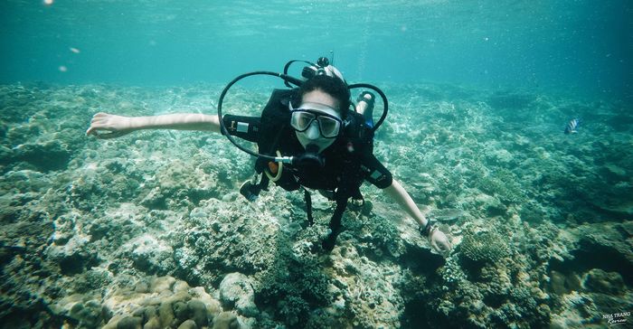 bai-lan-Vinpearl-Diving-Club
