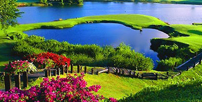 phoenix-golf-resort2_1