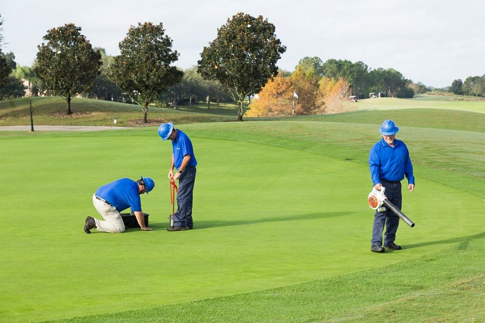 bảo dưỡng sân golf gồm những công việc gì