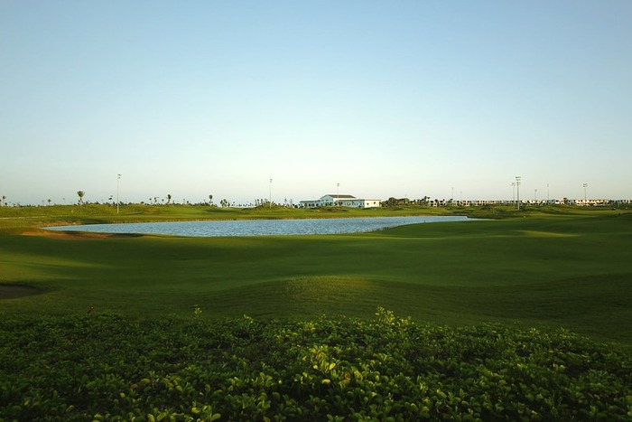 mặt sân cỏ trên sân golf FLC Sầm Sơn
