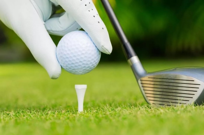 Green fee trong golf là gì? Mọi điều cần biết về thuật ngữ phổ biến này