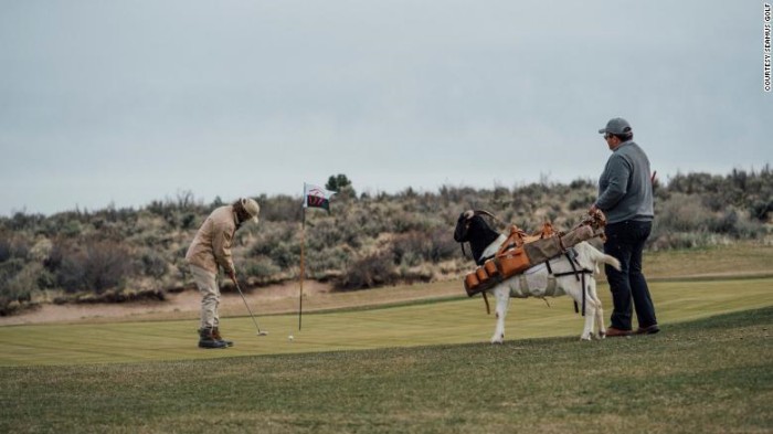 Đến sân golf Silvies Valley Ranch mà chơi golf cùng caddie… dê