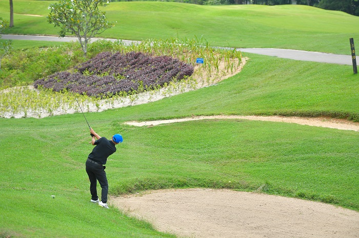 Sân golf Twin Doves - sân golf ở Bình Dương nổi tiếng