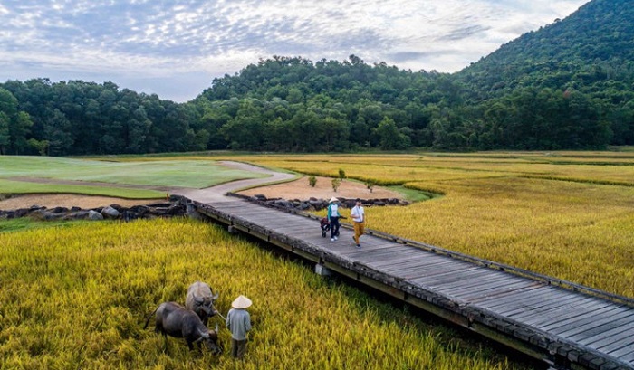 Sân golf Laguna Lăng Cô - một trong những sân golf đắt nhất Việt Nam